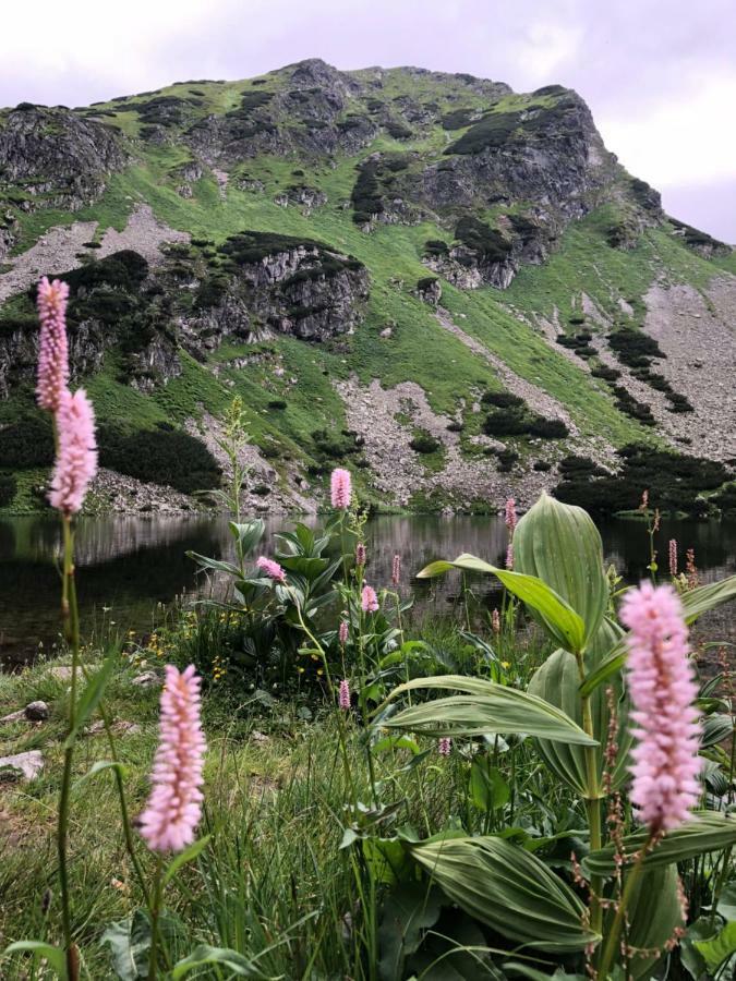 Rekreacny Dom Sablatura Villa Zuberec Dış mekan fotoğraf